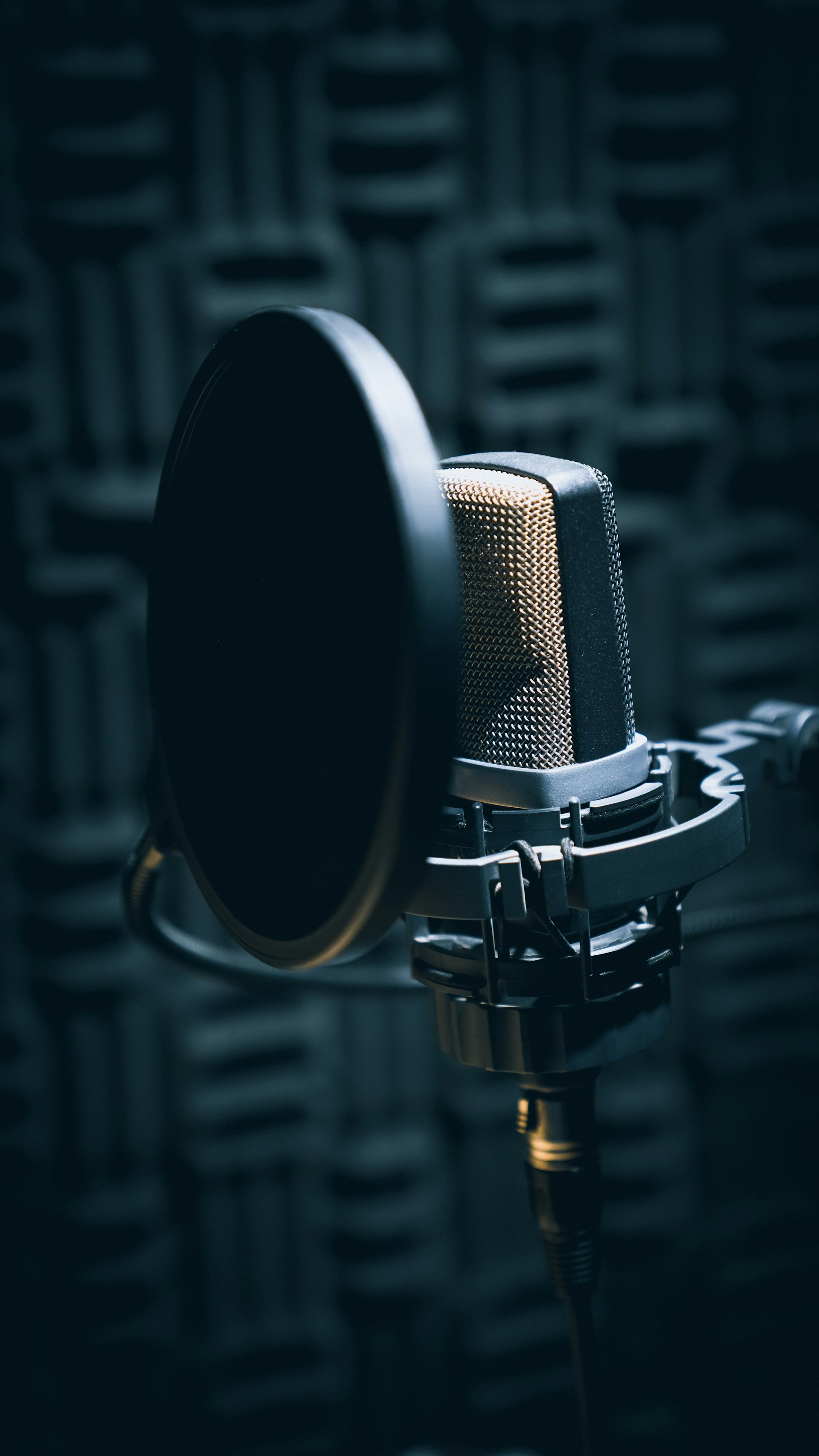 Contemporary Voices